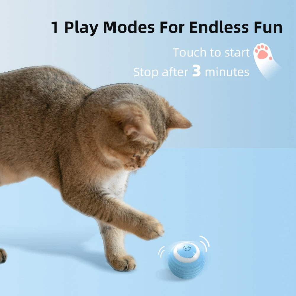 Interactive Rotating Cat Toy Ball – Rechargeable, Silent & Durable LED Claw-Control Toy for Engaging Play