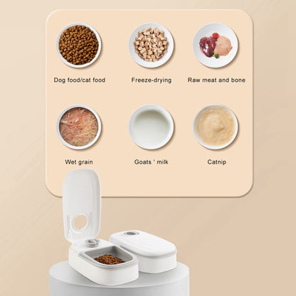 Smart Automatic Pet Feeder with Timer & Stainless Steel Bowl — Perfect for Cats & Dogs - GFMR TradeWorks