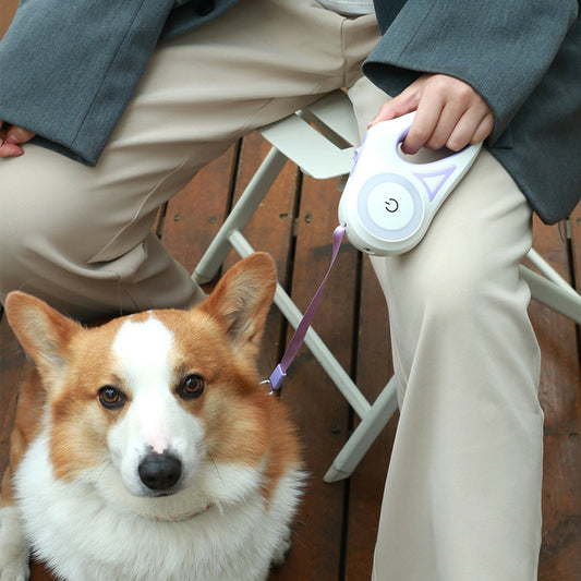 All-in-One Dog Leash & Collar Set – Retractable, LED-Equipped, Tangle-Free