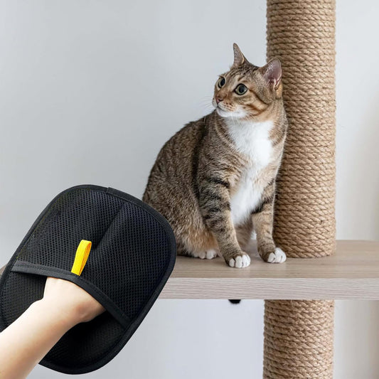 Dual-Action Pet Hair Removal Glove – Groom & De-Shed in Seconds!