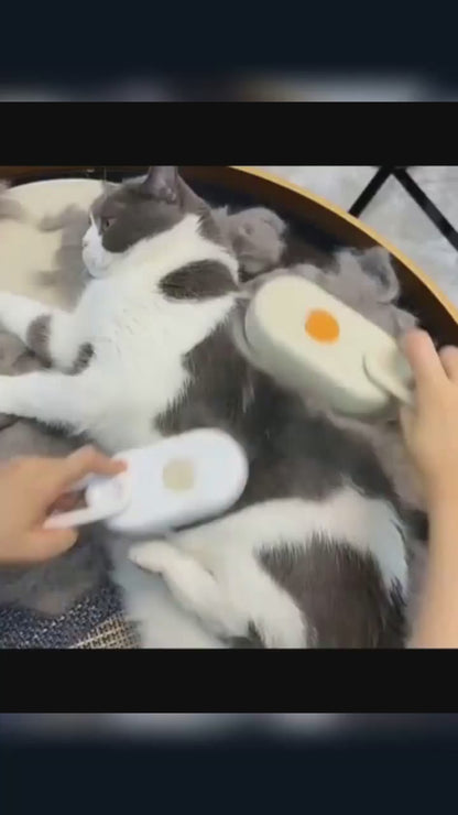 3-in-1 Electric Steam Pet Brush - Hair Removal, Grooming, and Massage for Cats & Dogs