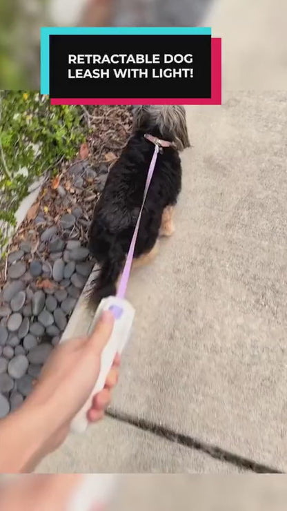 All-in-One Dog Leash & Collar Set – Retractable, LED-Equipped, Tangle-Free